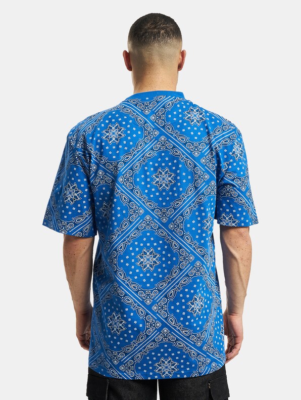 Small Signature Paisley-1