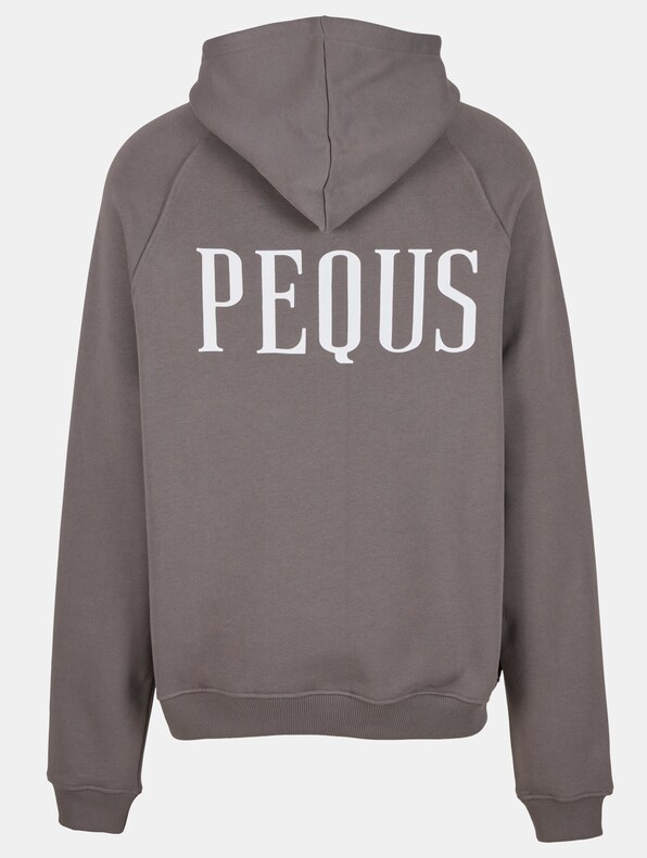 PEQUS Back Logo Hoodies-5