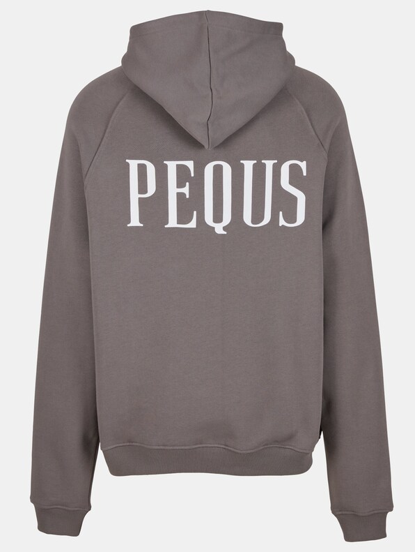 PEQUS Back Logo Hoodies-5