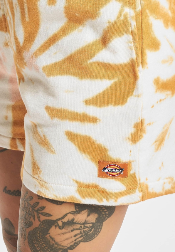 Dickies Seatac Shorts golden-5