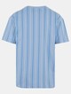 Printed Pinstripe -5