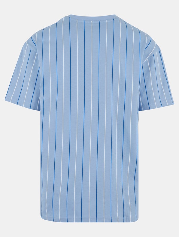 Printed Pinstripe -5