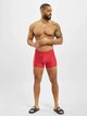 Basic Swim-4