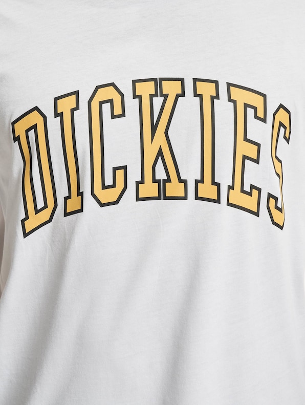 Dickies Aitkin T-Shirt-3