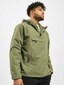 olive_38349