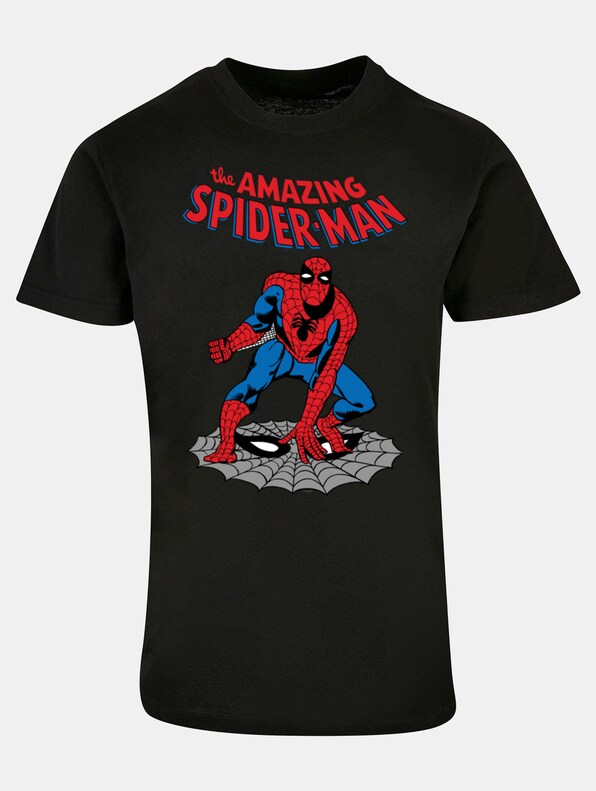 Marvel Universe - The Amazing Spider-Man Basic-2