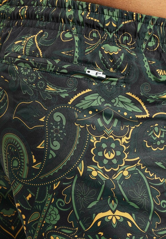 Paisley -5