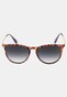 brown_128249