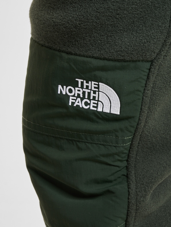 The North Face Jogginghose-5