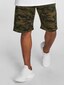 camouflage_20736