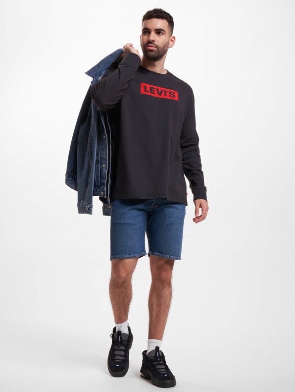 Levis Relaxed Graphic Longsleeve-4