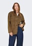 brown_154543