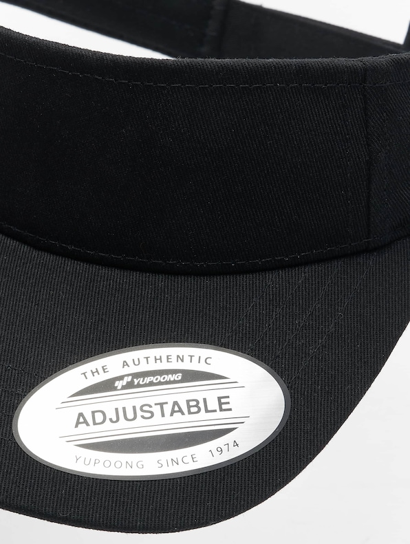 Curved Visor-3