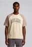 beige_203603