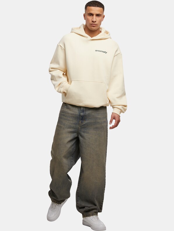 Theory Of Anomaly Fluffy -3