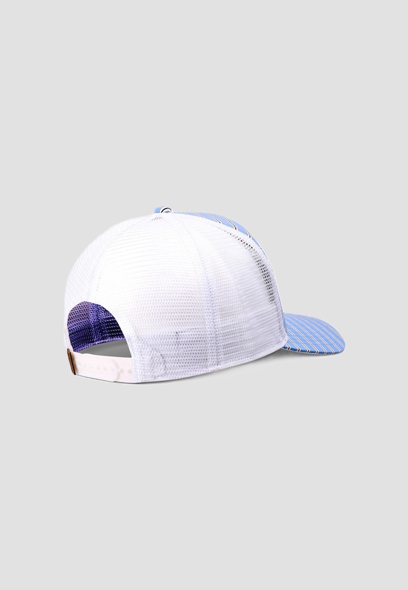  Business Stripe-1