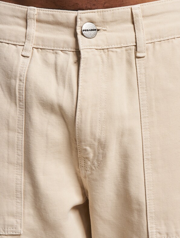 Pegador Tayls Cargo Pants-3