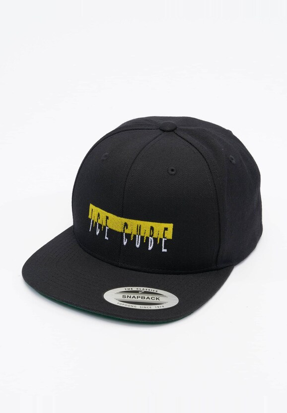 Ice Cube Logo-3