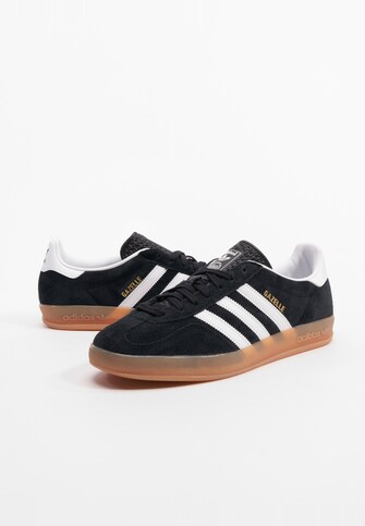 Gazelle Indoor