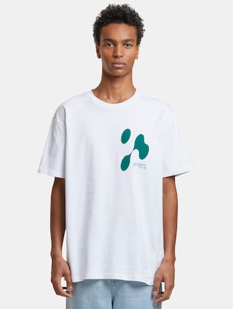 Theory Of Anomaly Oversize
