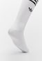white_99751