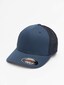blue_41460