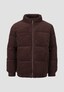 brown_203644
