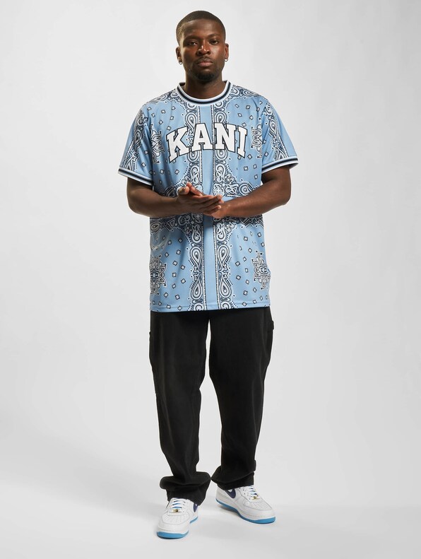 Serif Paisley Mesh-4