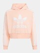 Originals Cropped-0