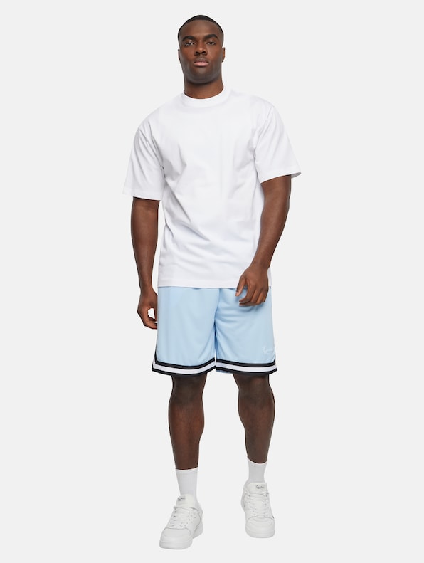 Karl Kani Small Signature Essential Mesh Shorts-5