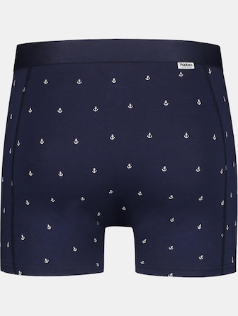 Anchor Briefs