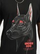 Air Dog-3