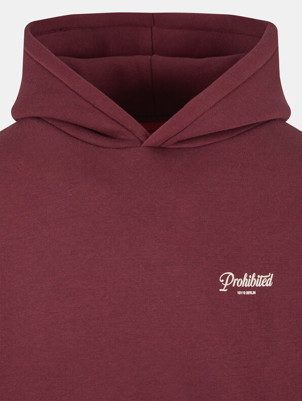 Prohibited V2 Hoodies-9