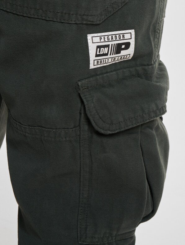 Pegador Tayls Cargo Pants-6