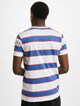 Script Stripe -1
