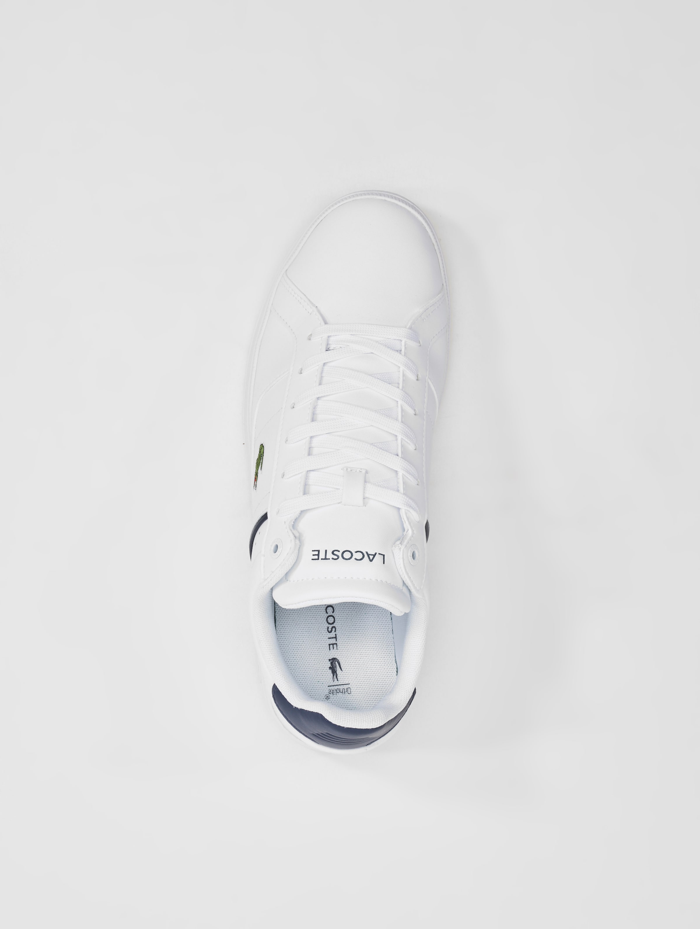 Lacoste hot sale europa shoes