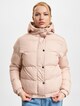 Hooded Puffer-2