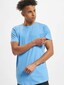 blue_3621