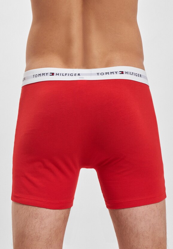 3 Pack Brief-1