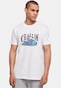 white_124061