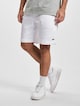 Lacoste Shorts-1