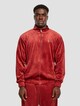 Velvet-2