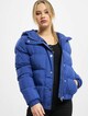 Ladies Hooded -0
