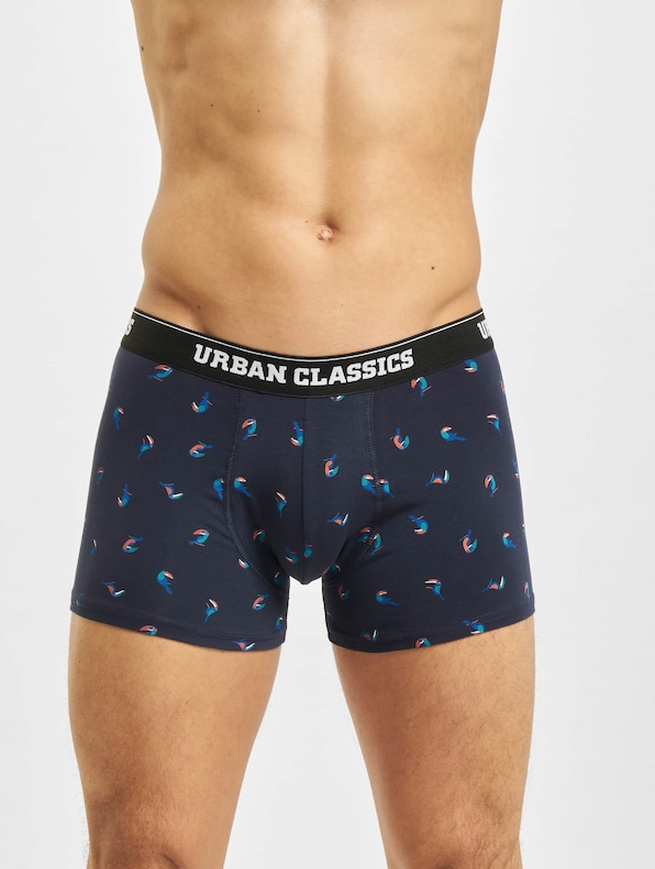 3-Pack -6