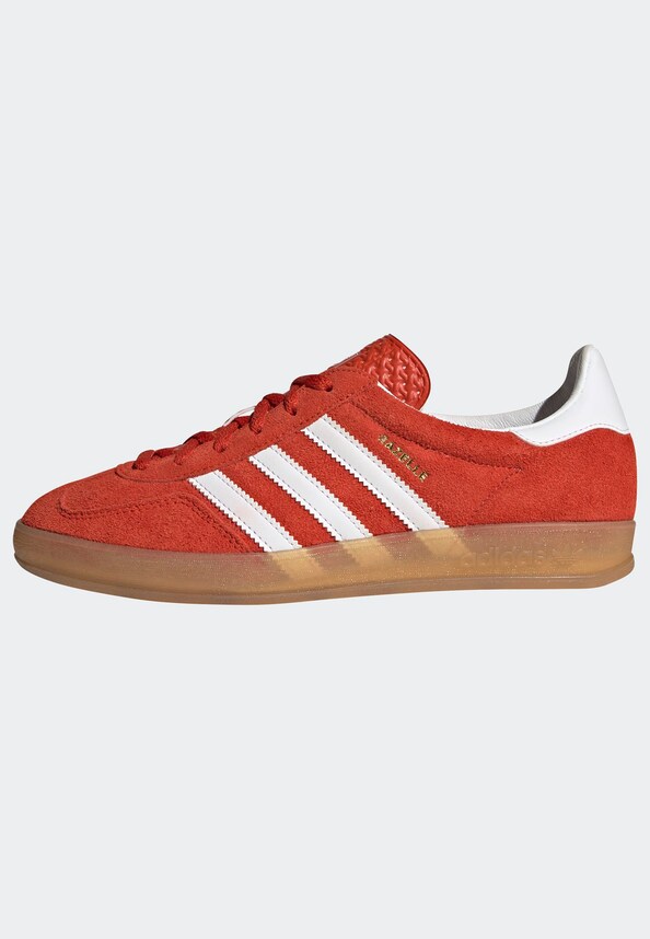 Gazelle Indoor -2
