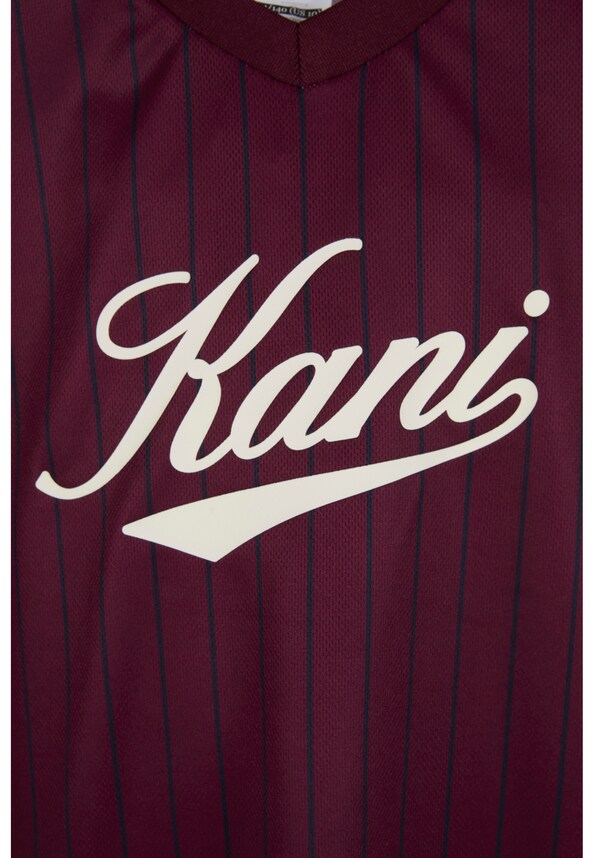 Cursive Varsity Pinstripe Jersey Junior-0