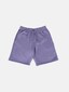 violet_149828