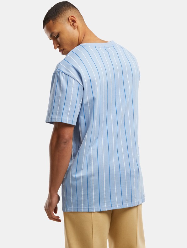 Printed Pinstripe -1