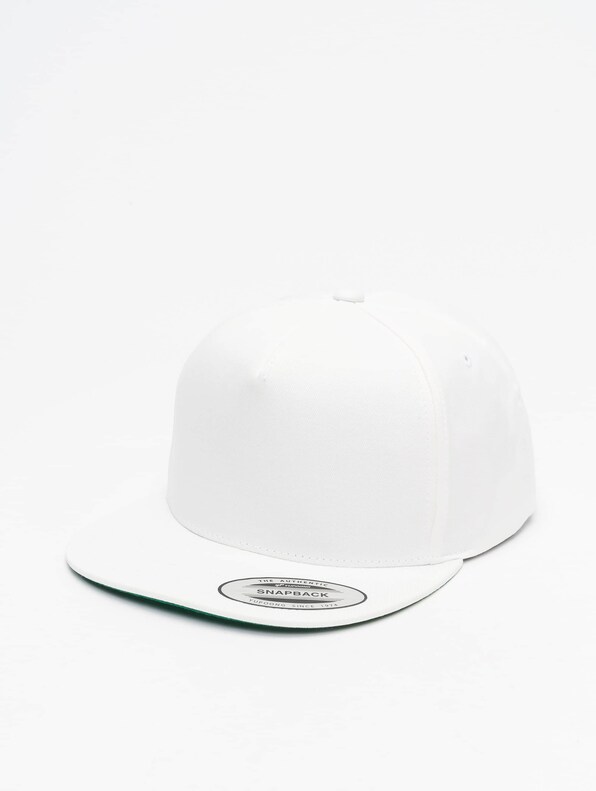 Classic 5 Panel-0