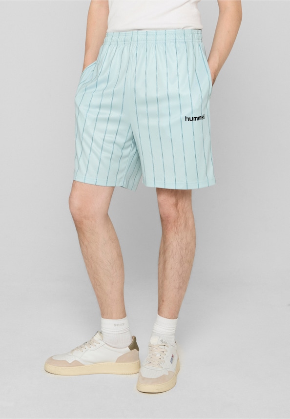 Chevron Pinstripe Shorts-0